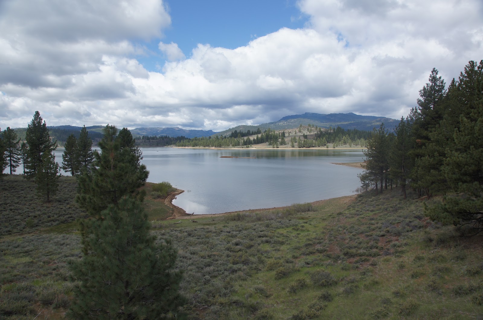 Mamma Quail Hiking California To boldly go hiking at Frenchman Lake.