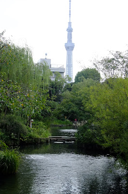 もうやん 旅の記憶 下町の庭園 向島百花園 萩の花のトンネルを訪ねる旅