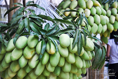 Pambansang Prutas: Mangga