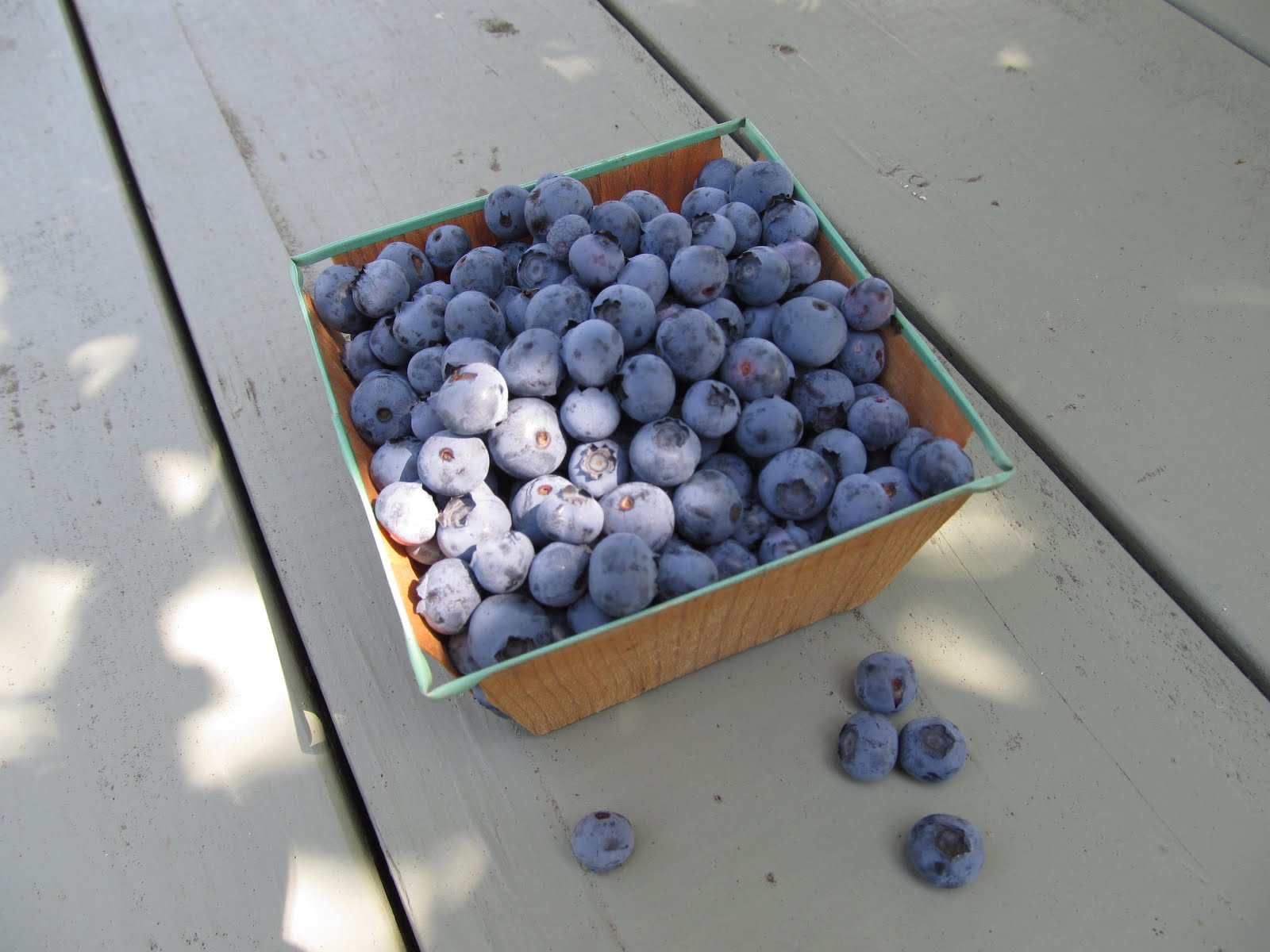 From Blueberries ...