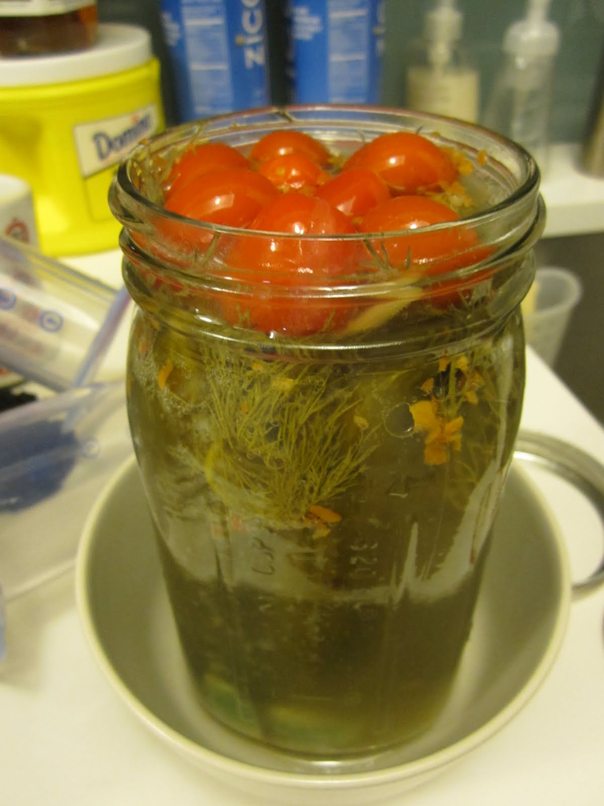 Israeli Pickles in Brine NYC Food Report