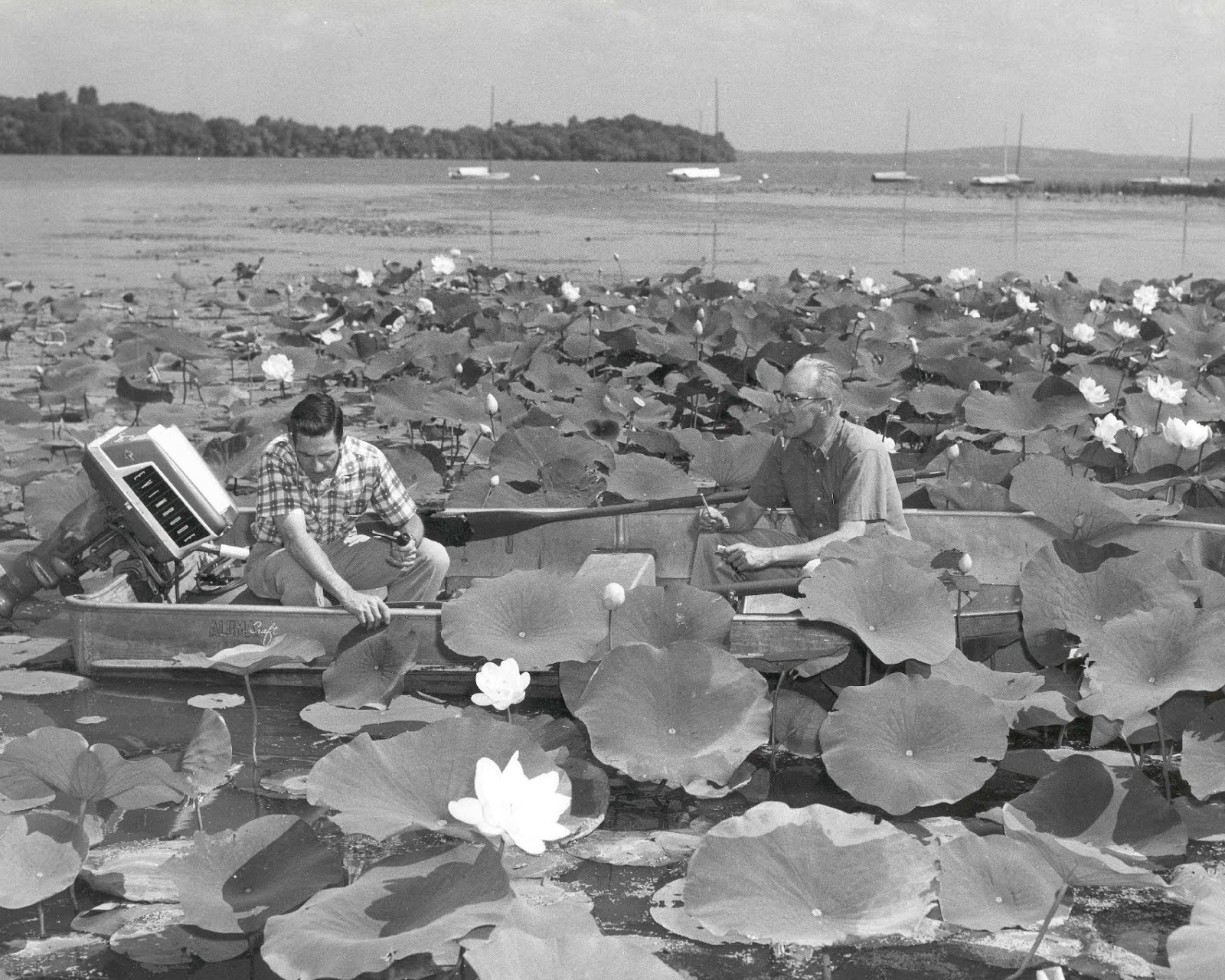 Hasler History 2 Ad Hasler Professional Photo Bio