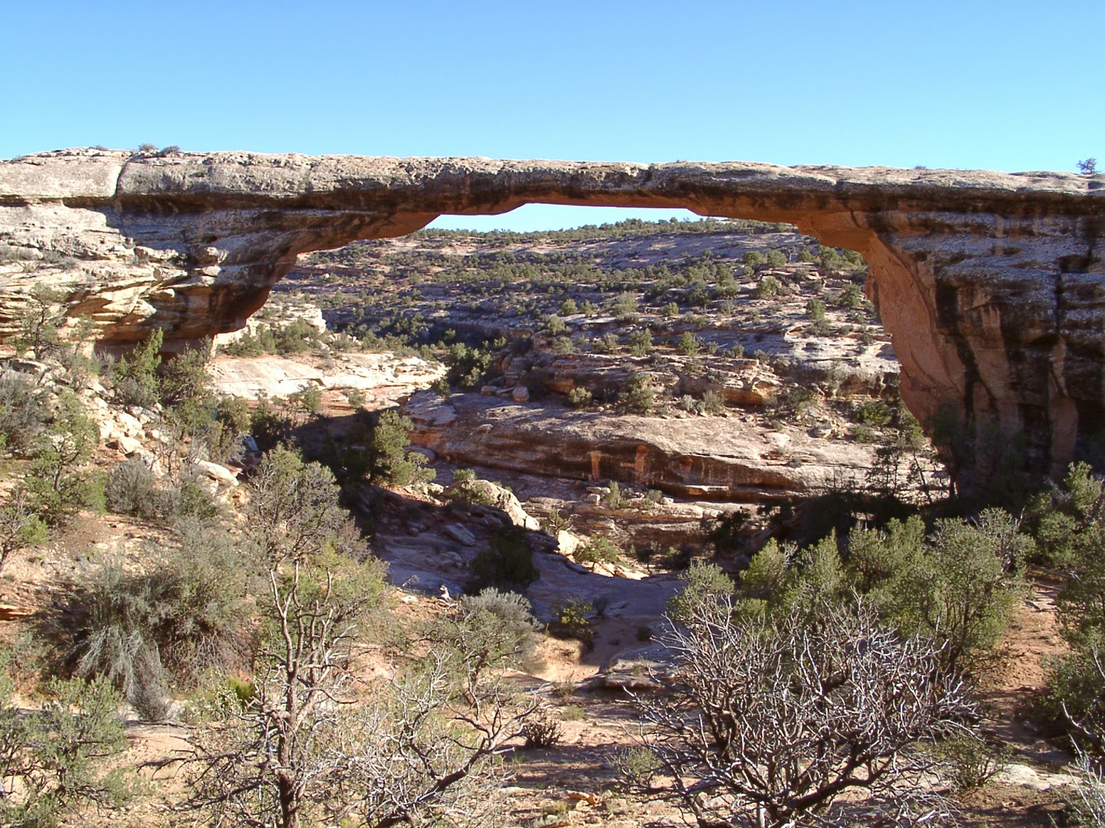 Owachomo_bridge.jpg