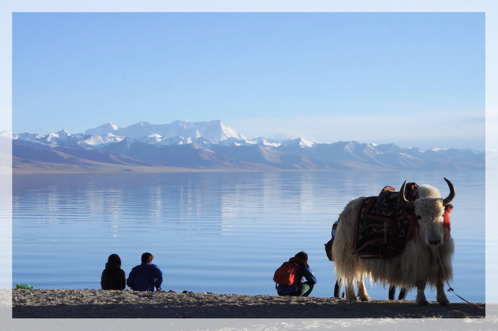 :: 西藏 Tibet 2016 ::