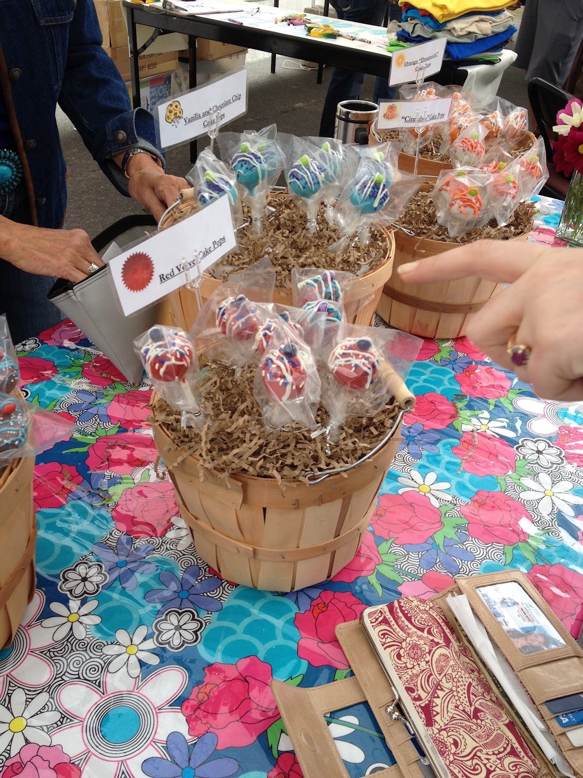 Dashboard Diary Jackson Hole Adventures Part 1