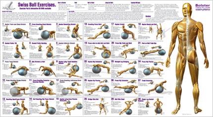 Exercise Ball Core Muscle Exercises