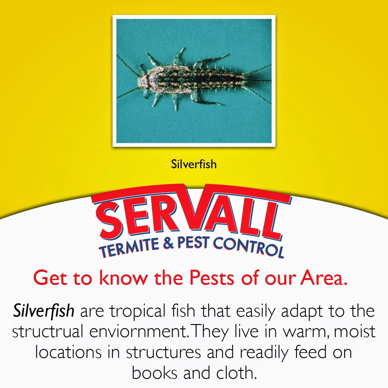 Servall Pest Control Silverfish Pest Control