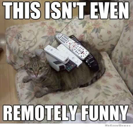 http://2.bp.blogspot.com/-IT0-f6ZZ_uc/UoP_fPFGenI/AAAAAAAAFD0/mV7dEt356nA/s1600/remotely-funny-cat.jpg