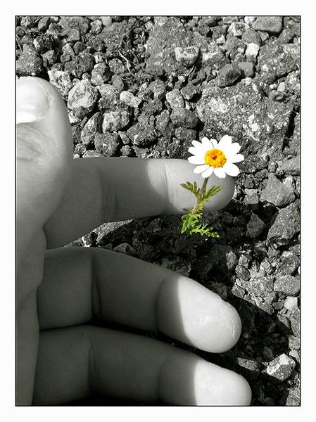 Semplicemente Felice Il Blog Di Marcello Argento Le Mie Frasi 2