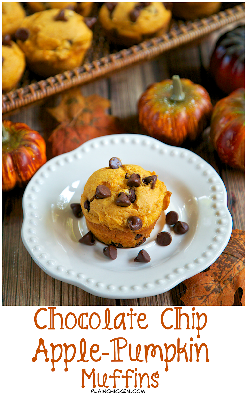 Pumpkin White Chocolate Chip Bread Muffin Or Cake Recipe Pumpkin White Chocolate Chip Bread Muffin Or Cake Recipe