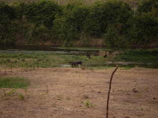 Fotos da Lagoa de estabilização do esgoto do município de Icó - Ce (jan./12). Fonte: Acervo do professor Anselmo