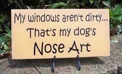 Nose Art