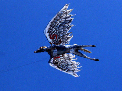 bali traditional kite flying