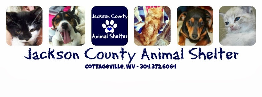 Jackson County Animal Shelter 