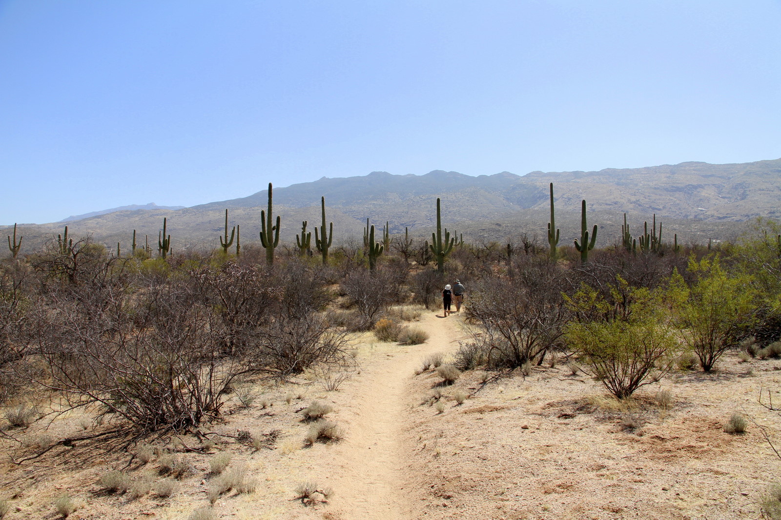 rencontre east for sale