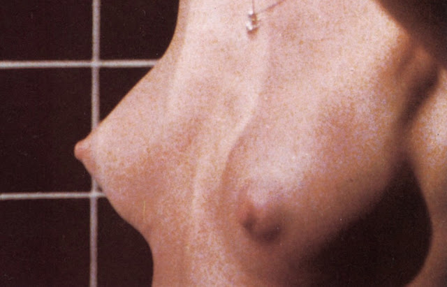 Morgan+Fairchild+(16)+ +Copy+ +Copy