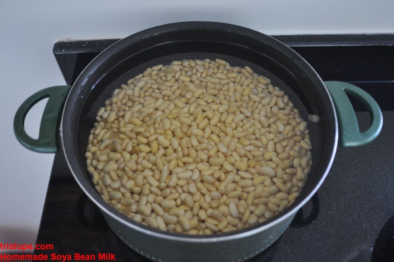 Homemade Soya Bean Milk