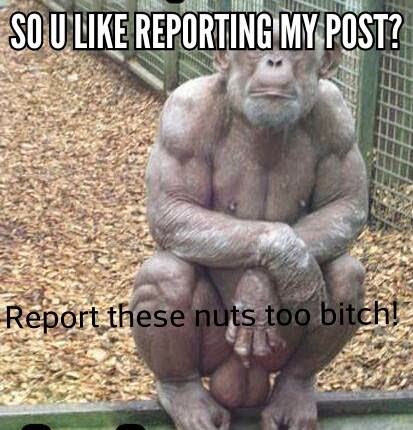 22 Meme Internet So U Like Reporting My Post Report These Nuts Too Bitch