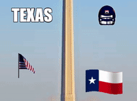 Texas GIF