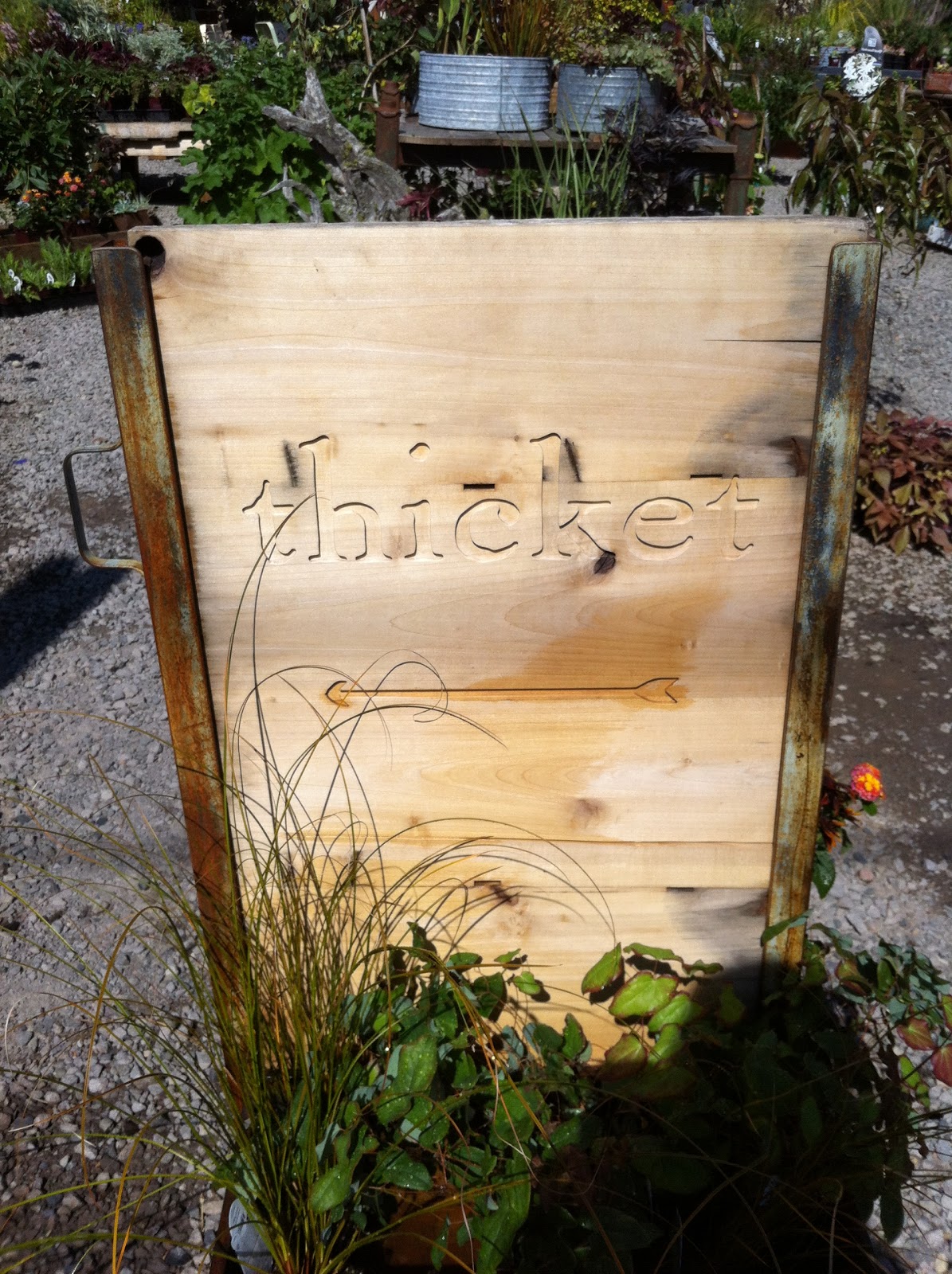 Bell and Star Thicket Nursery In Portland