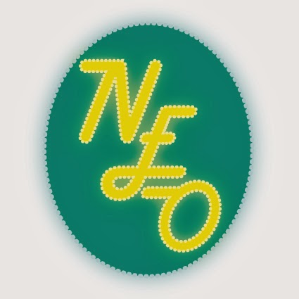 Nuoret Erilaiset Oppijat (NEO)