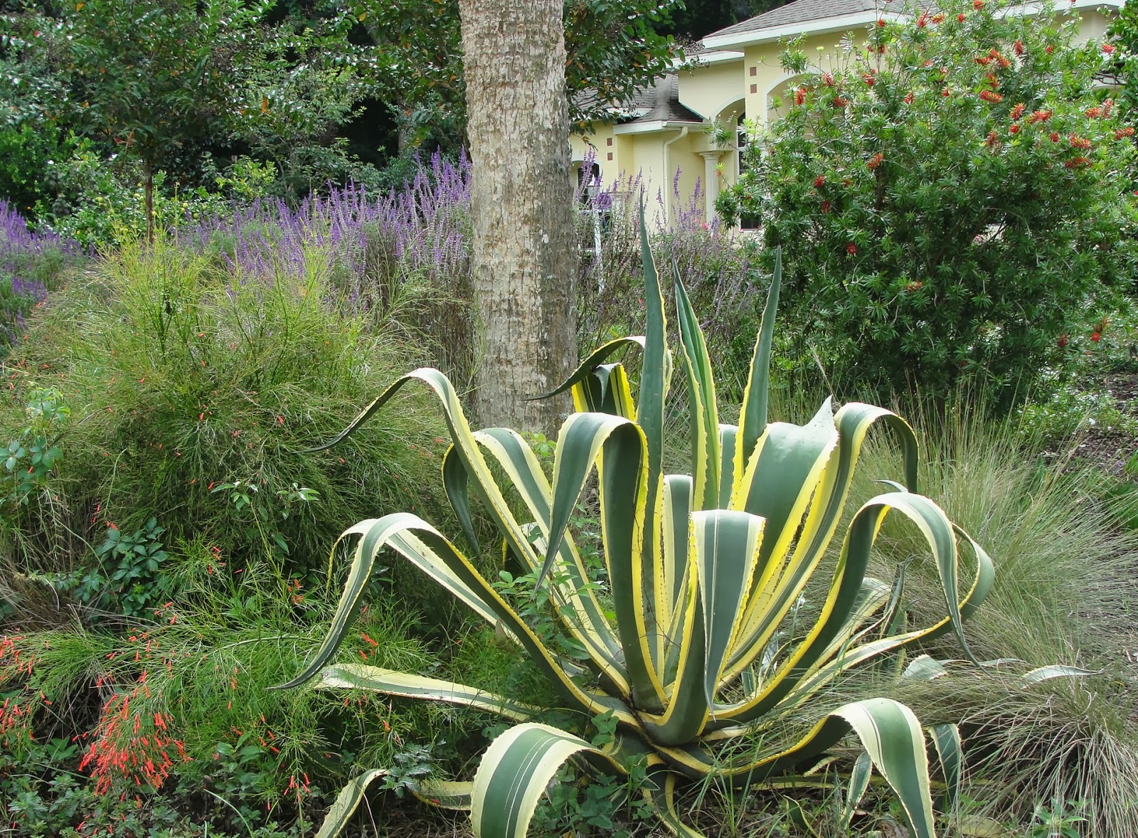 The Gardens of Mount Dora A Wildly Delightful Cottage Garden