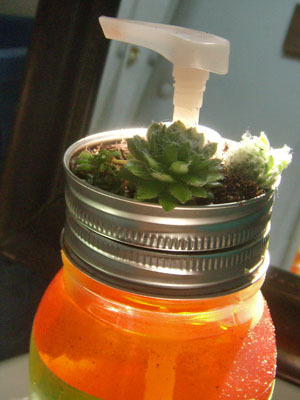 http://www.craftfoxes.com/how_tos/mason-jar-craft-succulent-soap-dispenser 