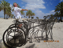 Freestyle World Traveler at Northern Stables, Megiddo (Israel)