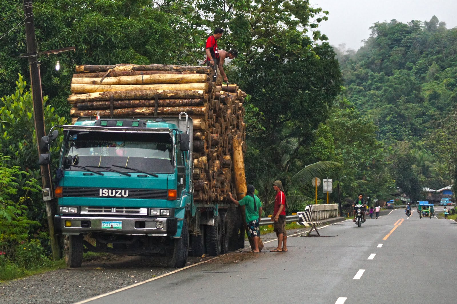 Illegal logging speech image