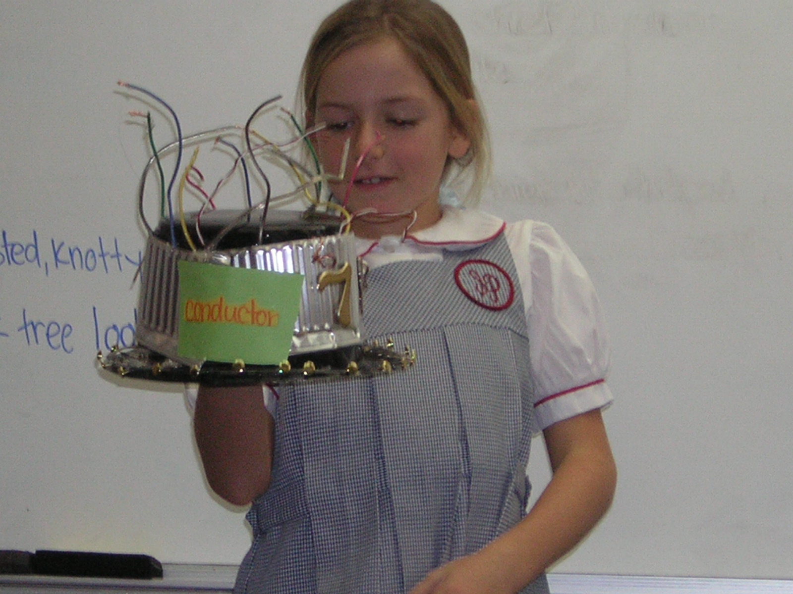 Mrs. Benton's Class: Science Vocabulary Hat Parade
