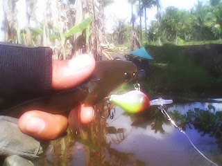 Aba Enim Rapal UL Crank
