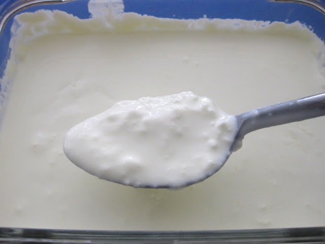 Sour Cream O Crema Agria "casera"