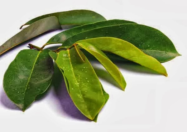obat alami hepatitis paling mujarab obat alami hepatitis paling mujarab