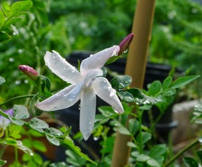 La Pointe Mahabou Et Ses Couleurs