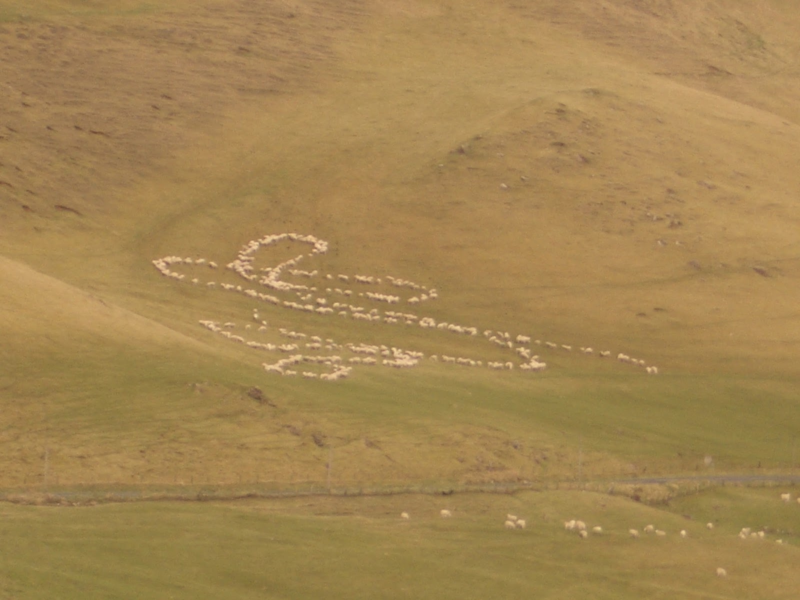 Antrim Hills