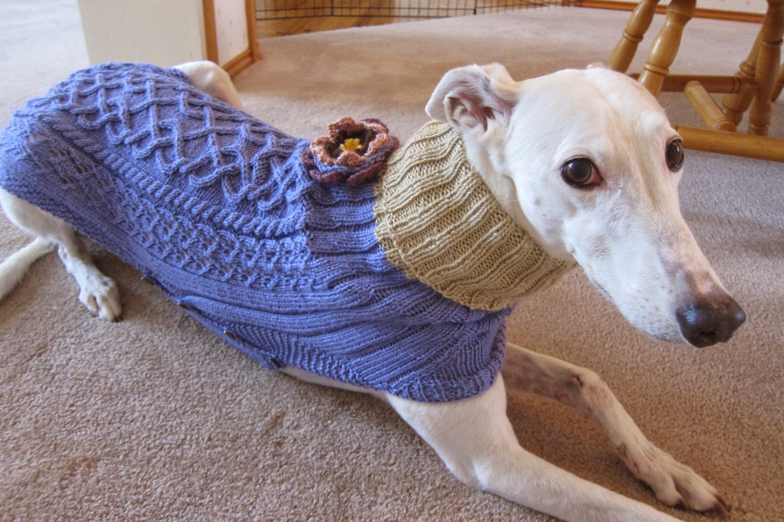 Greyhound Knit Sweaters March 2015
