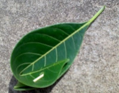 %25E0%25AE%2595%25E0%25AF%2582%25E0%25AE