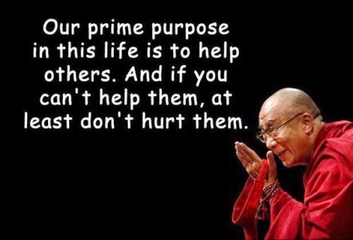 Gods Own Web: Dalai Lama Life Quotes | Dalai Lama Sayings / Quotes On Life