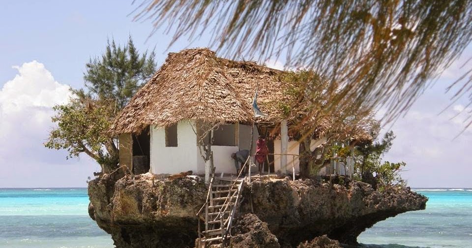 Bonao Internacional: TODOS LOS EQUIPOS ELECTRONICOS TIENEN UN