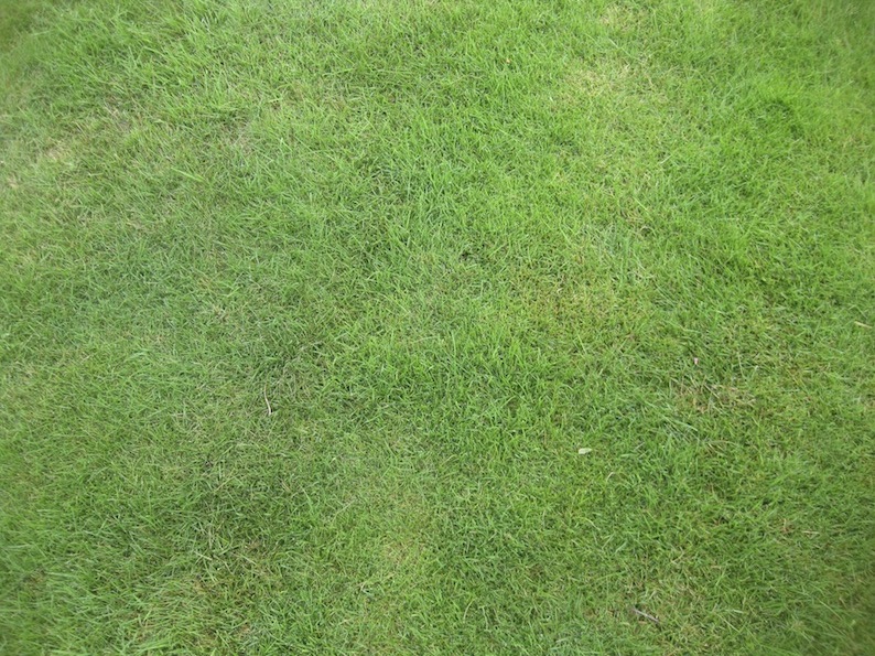 Roger Brook The No Dig Gardener Can I Use General Compound Fertilizer On My Lawn Roger Brook The No Dig Gardener Can I Use General Compound Fertilizer On My Lawn