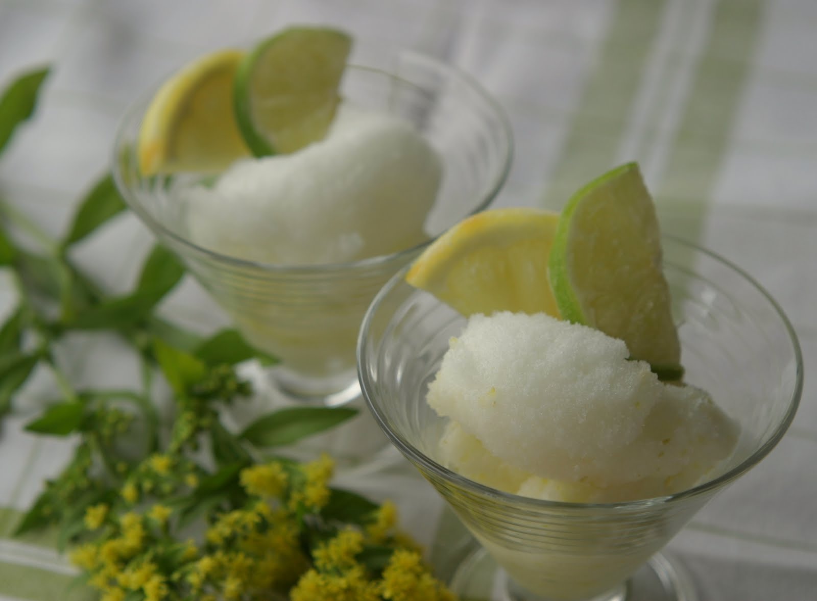 Marias Salt og Søtt Gin & Tonic Sorbet