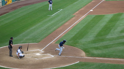 Bees baseball