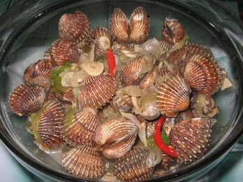 ANEKA KERANG: masakan kerang