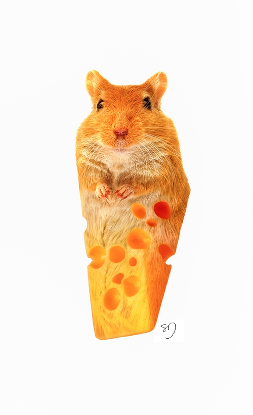 02-Mouse-Cheese-Sarah-DeRemer-You-Are-what-You-Eat-Photo-Manipulation-www-designstack-co