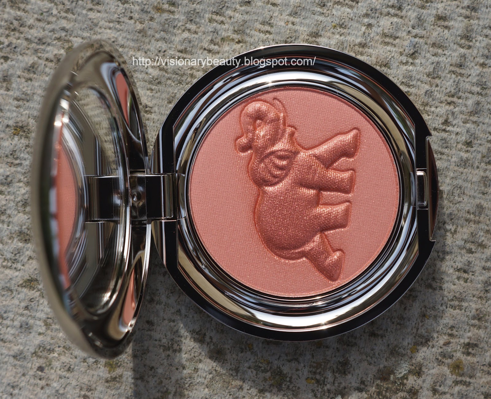 Visionary Beauty Chantecaille Elephant Cheek Shade