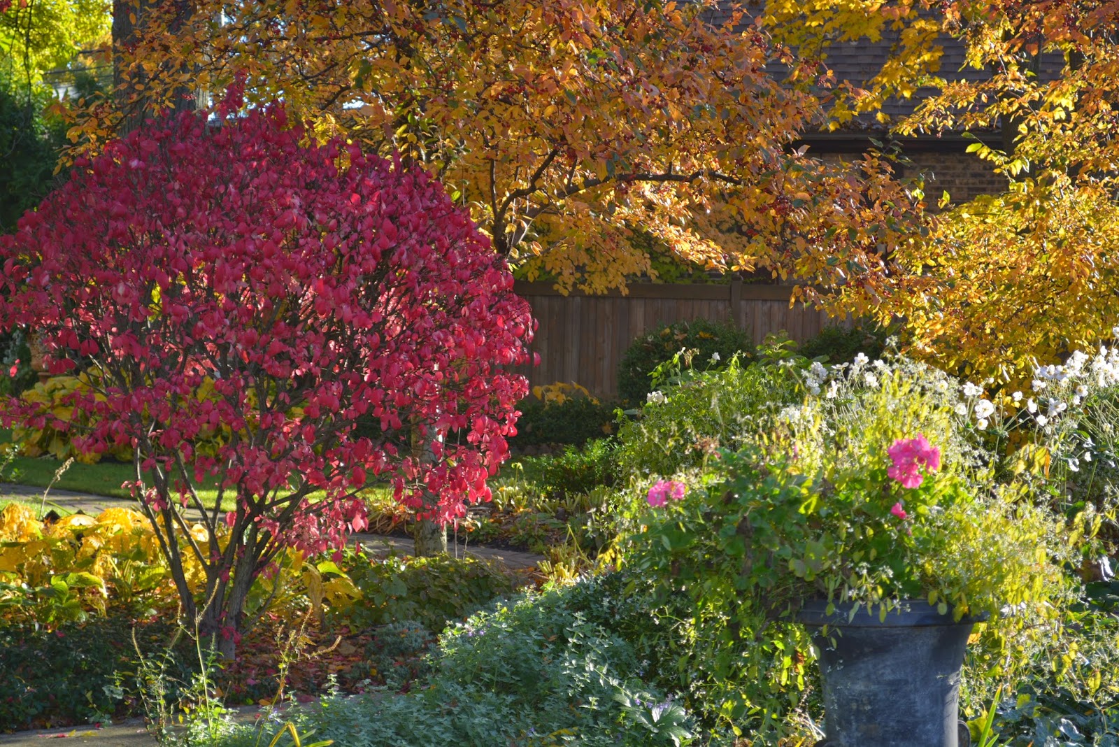 Zen My Ass Black Bear Burning Bush And Mystery Flower