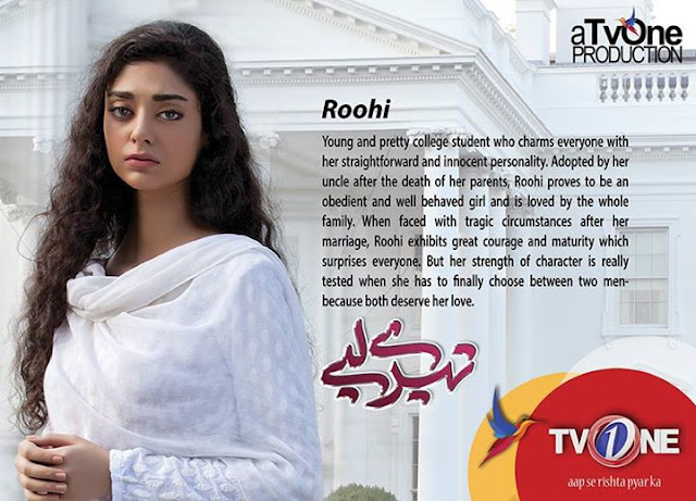 A story of intense passion, , betrayel and Loyalty Tere Liye Cast Role - Story