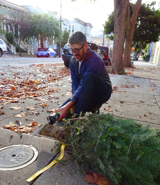 EmilyStyle How to Get a Christmas Tree in San Francisco