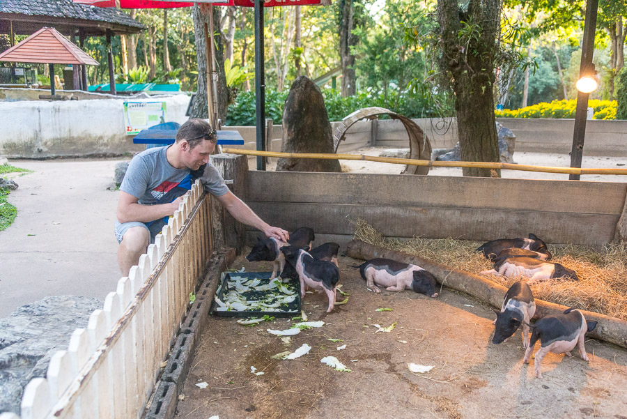 Chiang Mai Zoo. Part Two