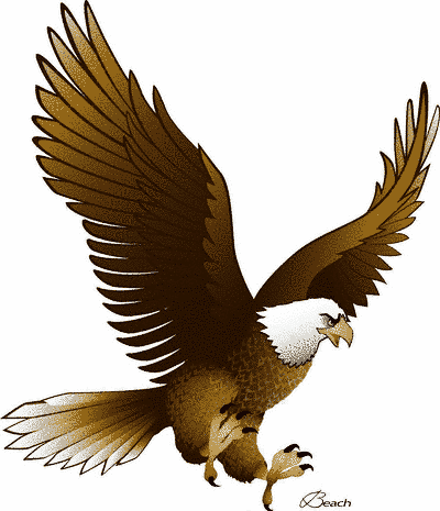 On February 9 10 and 11 2012 the Eagle Expo will take place in and around
